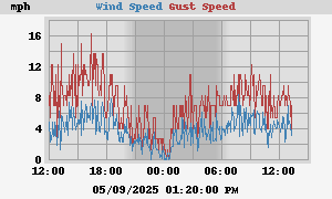 wind
