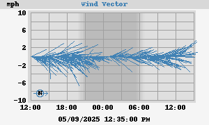 Wind Vector